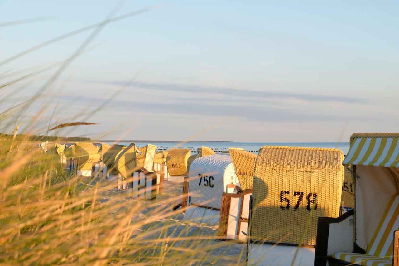 Hotel Meerlust Zingst Εξωτερικό φωτογραφία